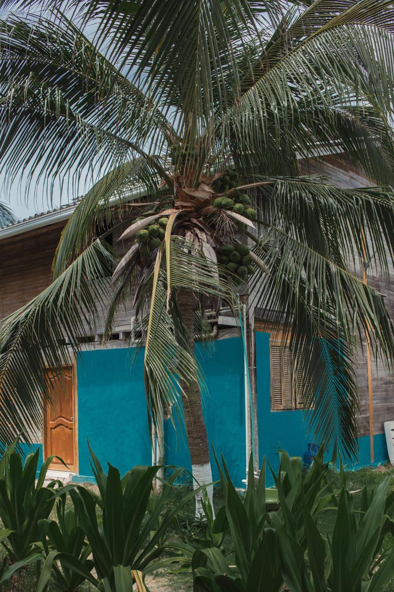 Isla Grande Eco-Hostal Экстерьер фото
