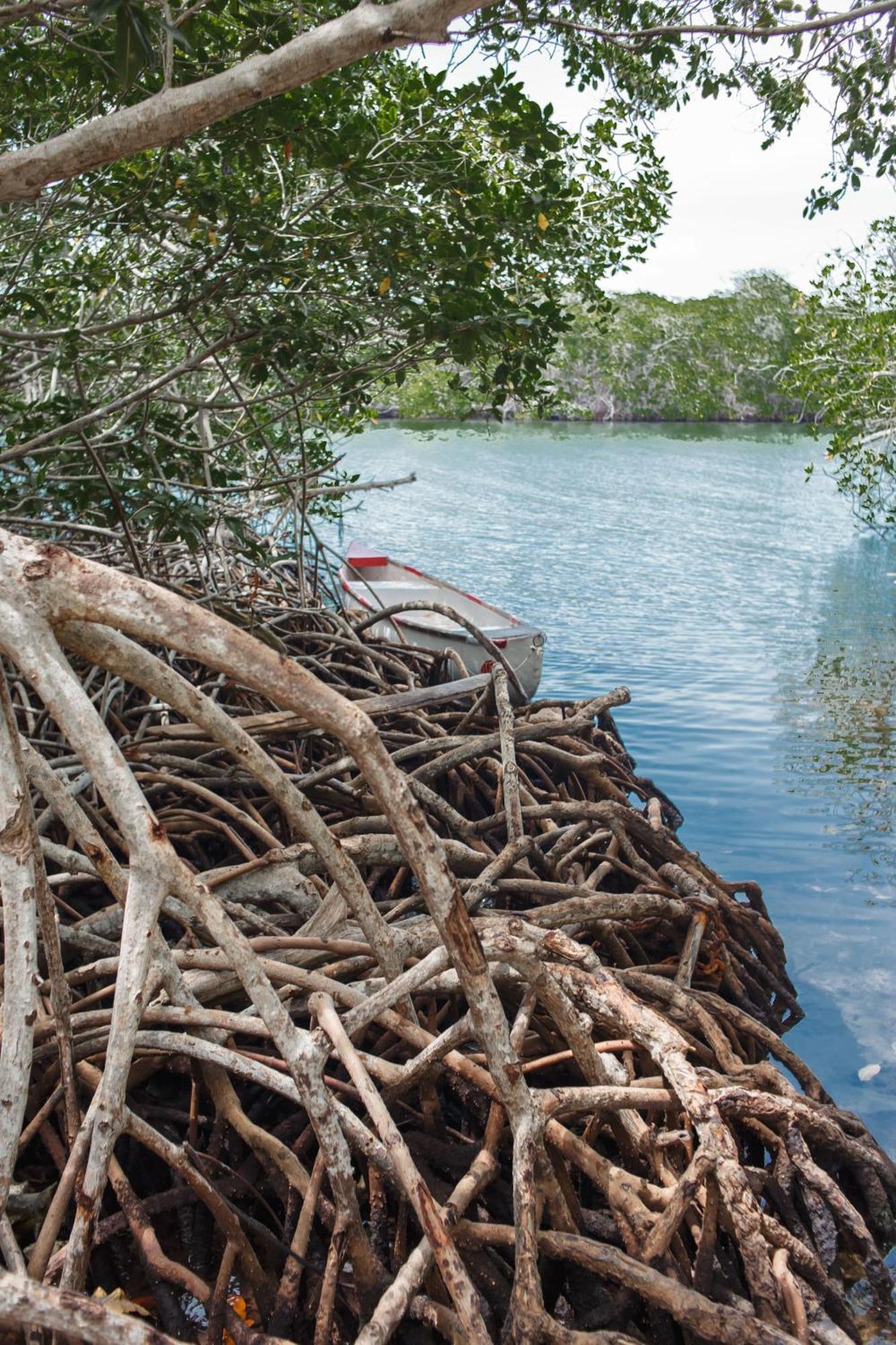 Isla Grande Eco-Hostal Экстерьер фото